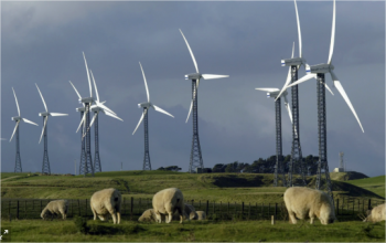 Le gouvernement néo-zélandais a créé un fonds de 1,2 milliard de dollars pour promouvoir la production d'énergie 100 % renouvelable